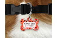 pipacsos biléta kutyáknak - csont 3