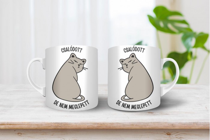 csalódott, de nem meglepett - morcica bögre 2