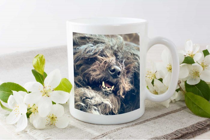 klasszikus fényképes bögre 2