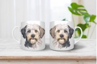 dandie dinmont-terrier bögre 5