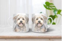 dandie dinmont-terrier bögre 14