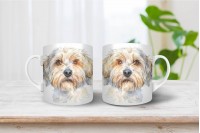 dandie dinmont-terrier bögre 15