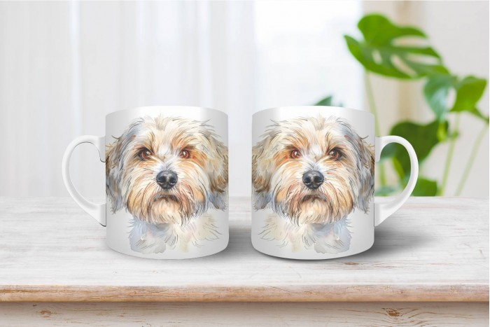 dandie dinmont-terrier bögre 2