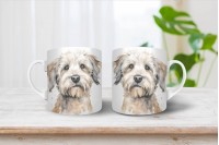 dandie dinmont-terrier bögre 16