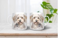 dandie dinmont-terrier bögre 4