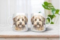 dandie dinmont-terrier bögre 3