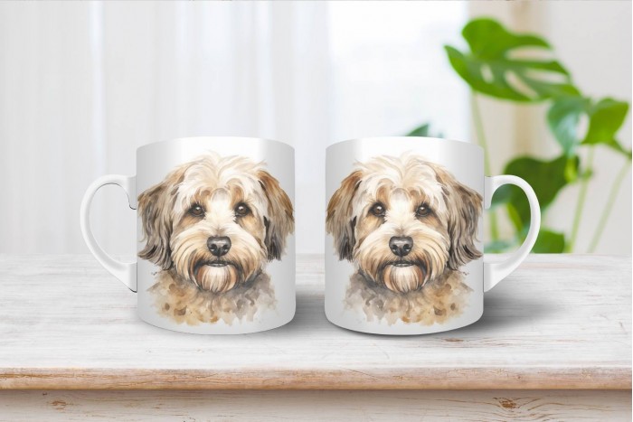 dandie dinmont-terrier bögre 2