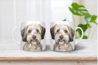 dandie dinmont-terrier bögre 7