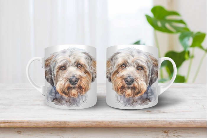 dandie dinmont-terrier bögre 2