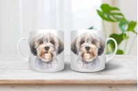 dandie dinmont-terrier bögre 9