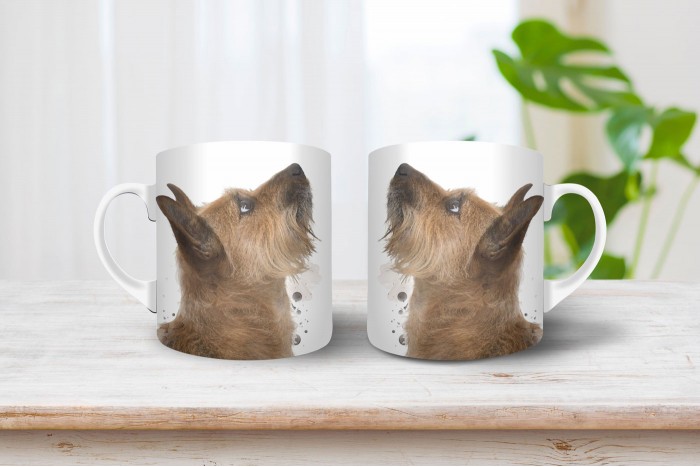 cairn terrier mintás bögre 2