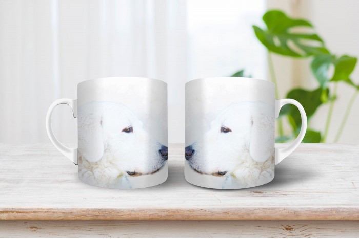 kuvasz mintás mintás bögre 2