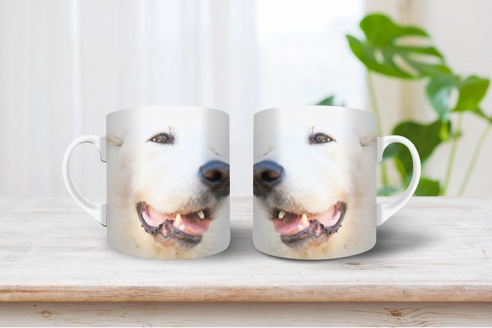 kuvasz mintás mintás bögre 2