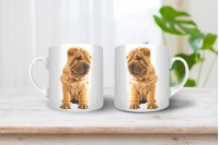 shar-pei bögre 12