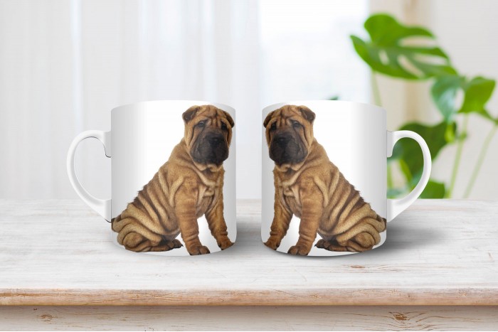 shar-pei bögre 2