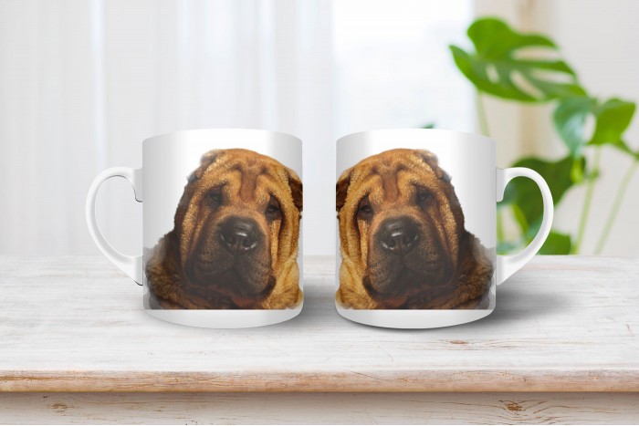 shar-pei bögre 2