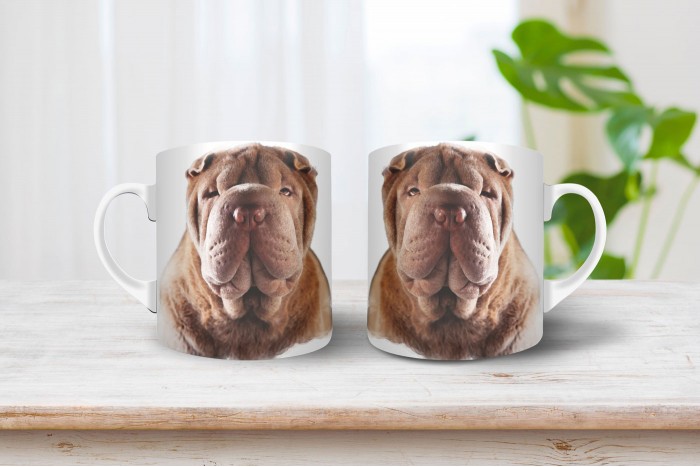 shar-pei bögre 2