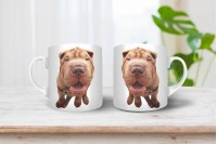 shar-pei bögre 6