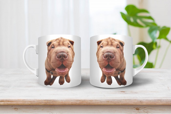 shar-pei bögre 2