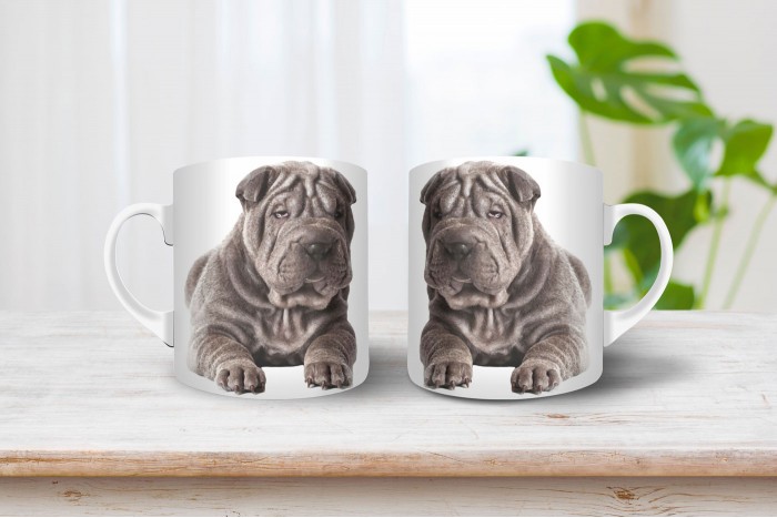 shar-pei bögre 2
