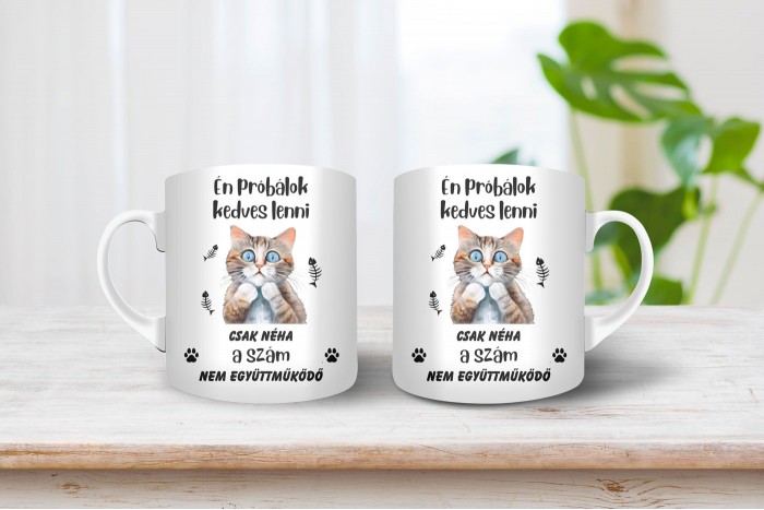 munkahelyi hangulat - szarkasztikus bögre 2