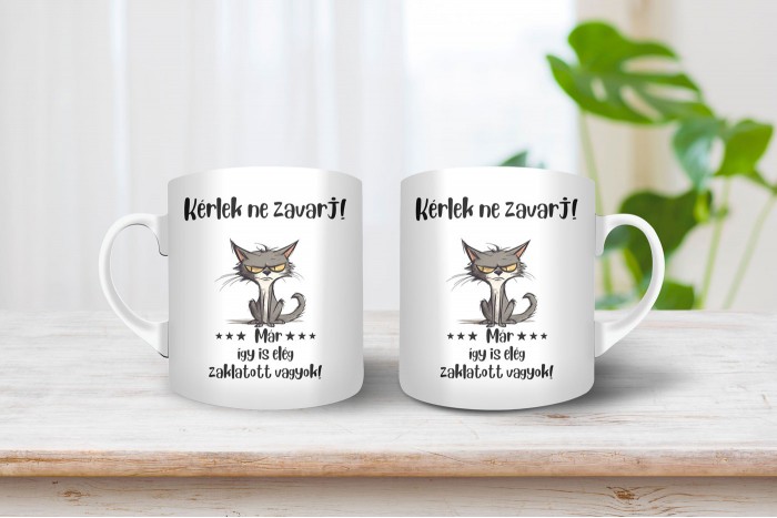 munkahelyi hangulat - szarkasztikus bögre 2