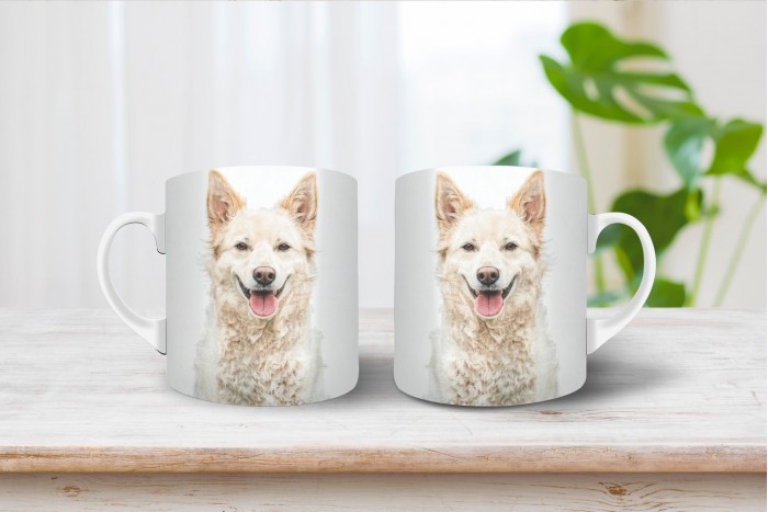 fehér mudi bögre 2