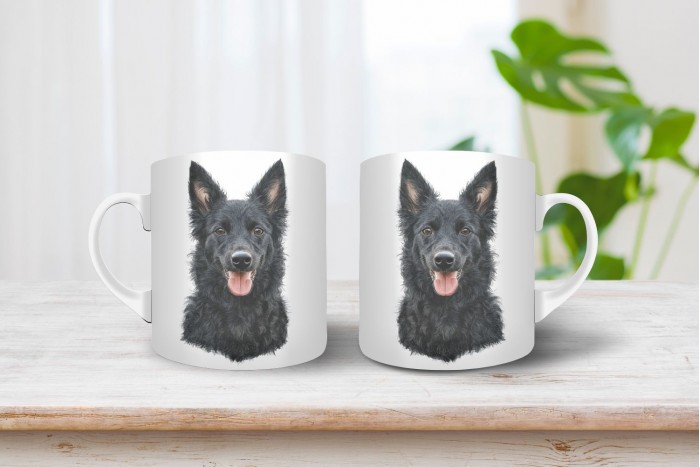 fekete mudi bögre 2