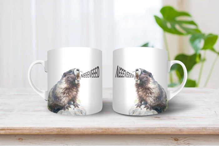 mormotás bögre névvel 2