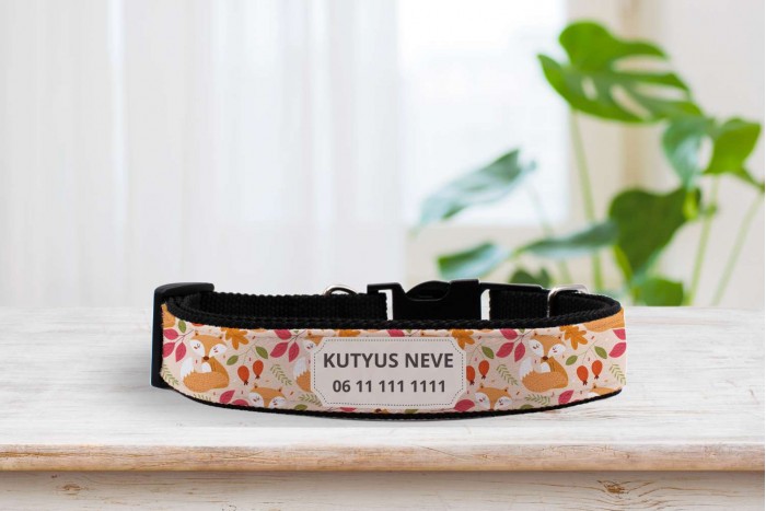 egyedi nyakörv őszi mintával - állítható - névvel, telefonszámmal 2