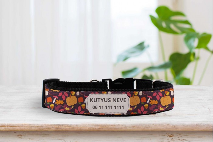 egyedi nyakörv őszi mintával - állítható - névvel, telefonszámmal 2