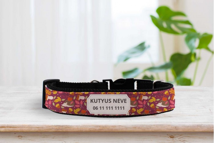egyedi nyakörv őszi mintával - állítható - névvel, telefonszámmal 2