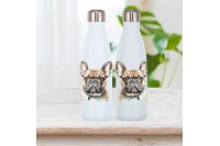 corgi mintás vizespalack 23