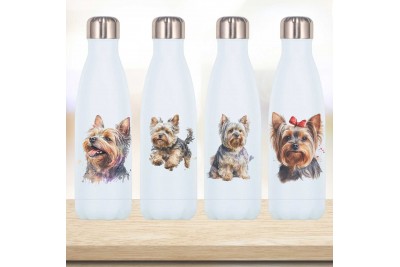 Yorkshire terrieres palackok