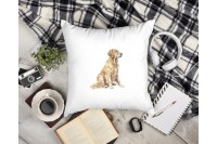 golden retriever párna 8