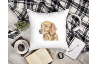 golden retriever párna 10