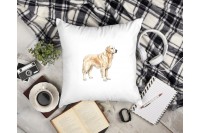 golden retriever párna 11