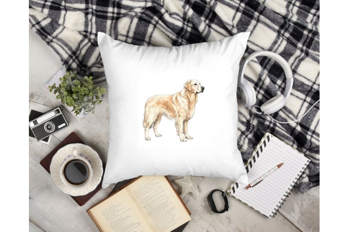 golden retriever párna 2