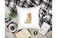 golden retriever párna 12