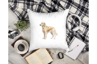 golden retriever párna 6