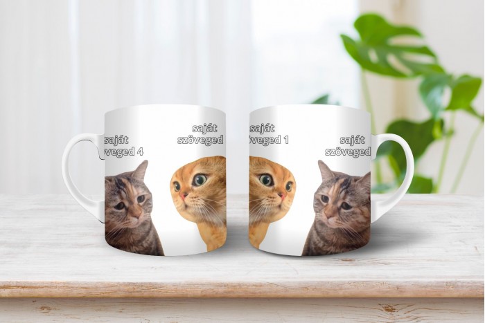 beszélgető macskás meme bögre 2